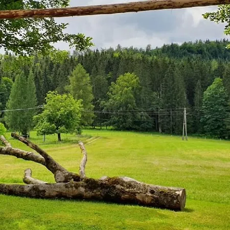 Am Bio-bauernhof Herdengl Apartament Lunz am See